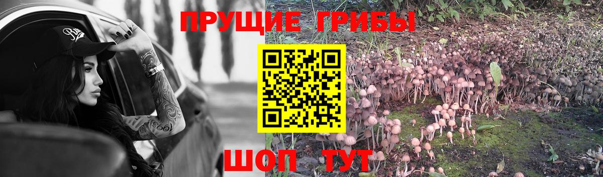 Галлюциногенные грибы MAGIC MUSHROOMS  Вход с VPN  Великие Луки  Псилоцибиновые грибы Psilocybine cubensis 