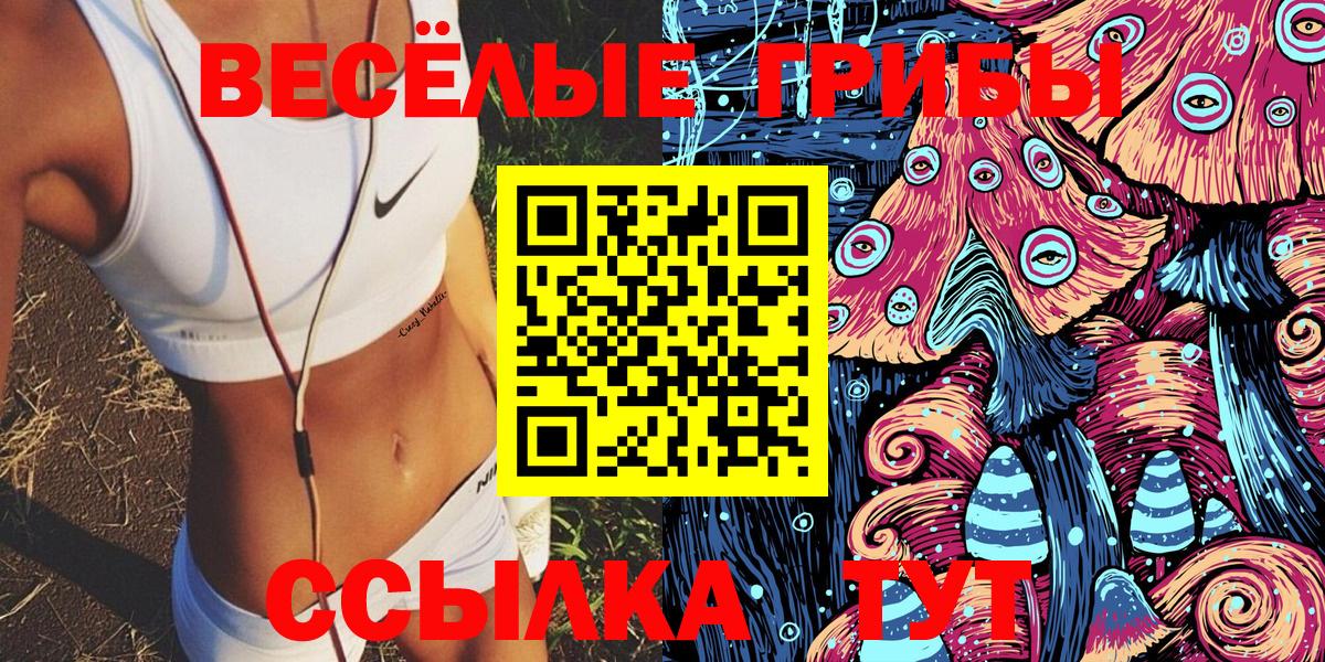 Галлюциногенные грибы Psilocybine cubensis Великие Луки